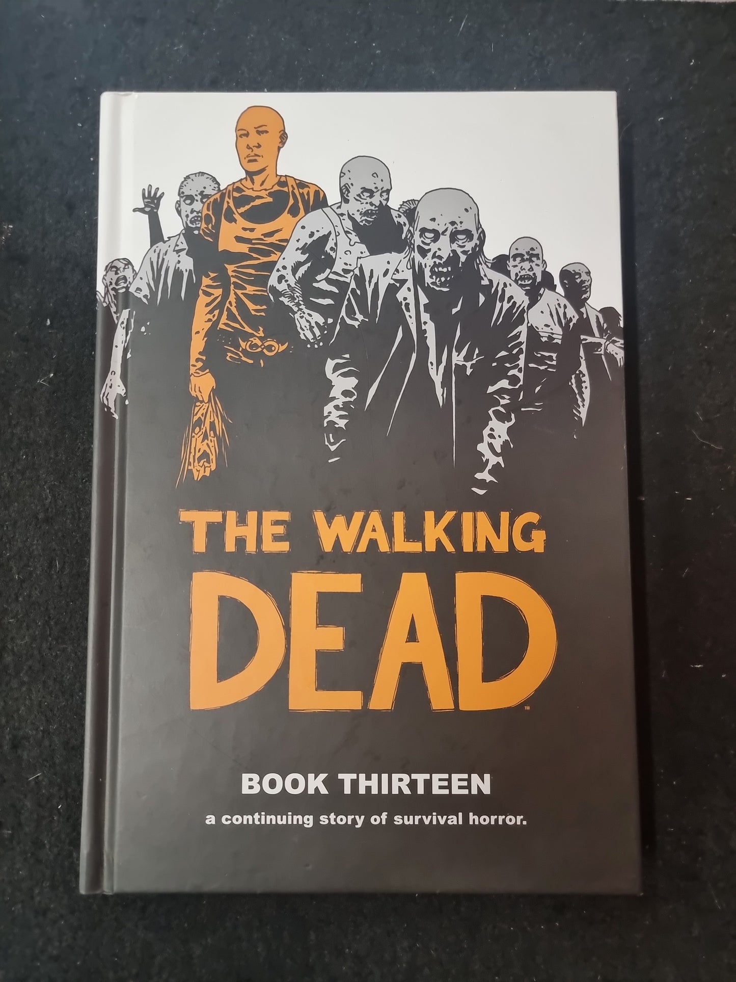 THE WALKING DEAD BOOK THIRTEEN