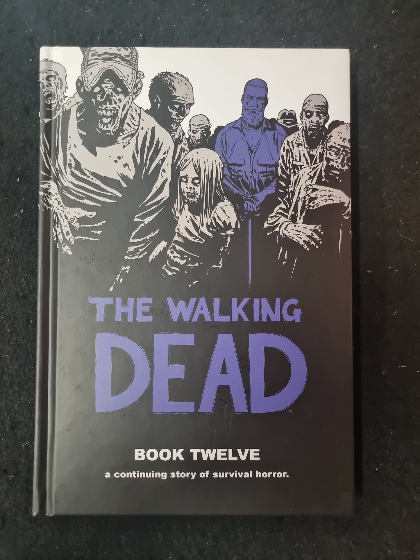THE WALKING DEAD BOOK TWELVE