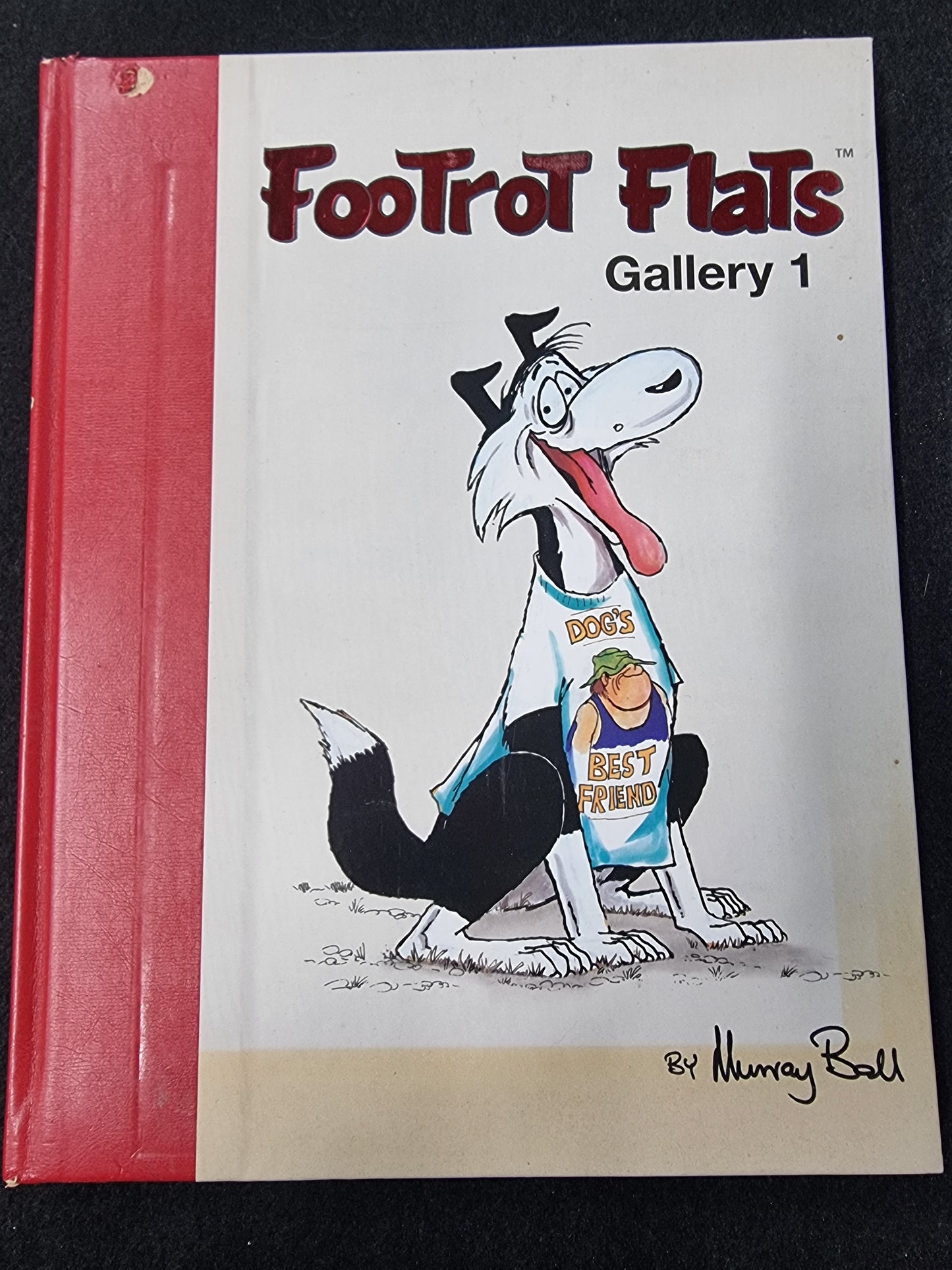FOOTROT FLATS GALLERY 1