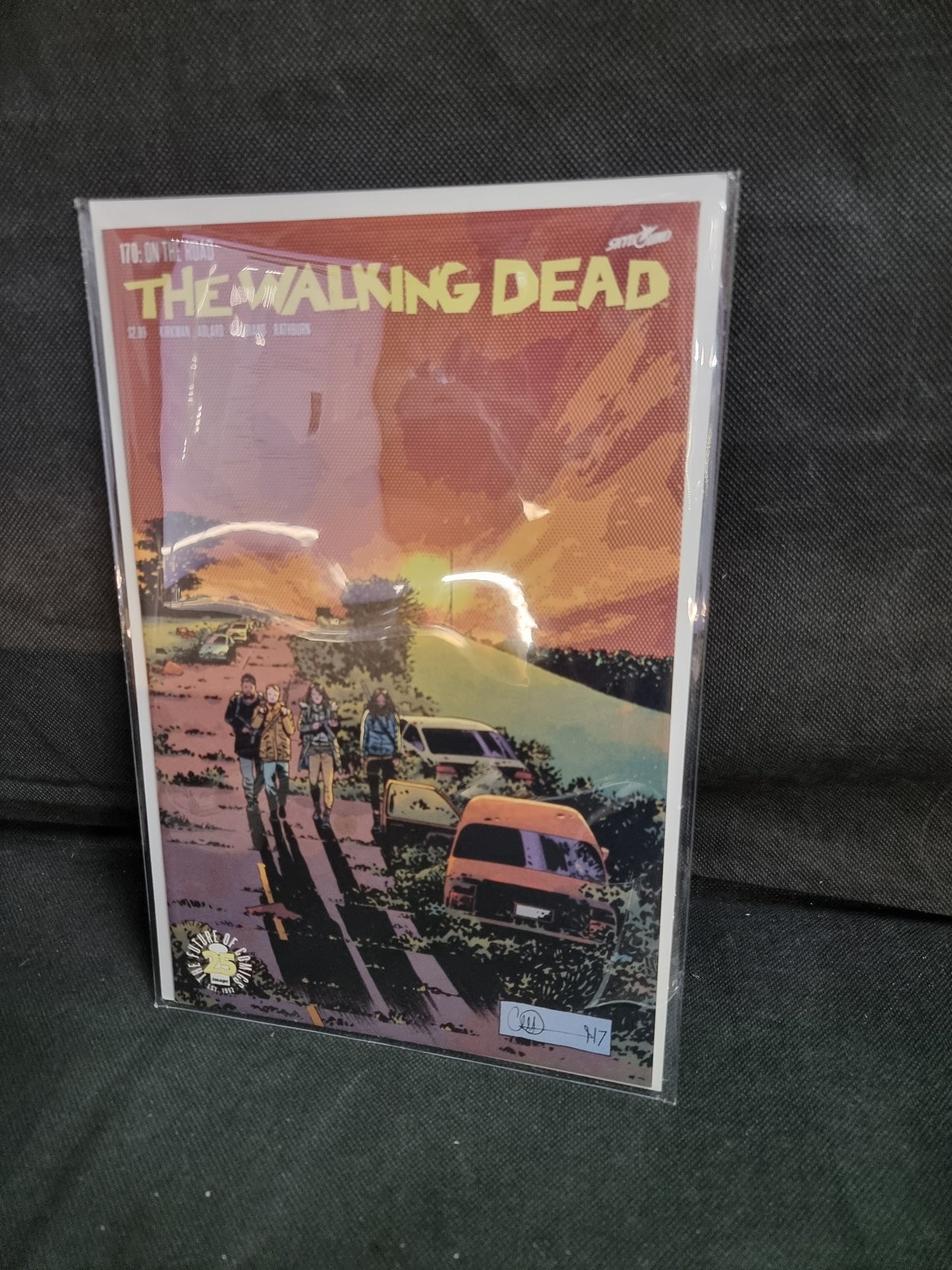 THE WALKING DEAD - ON THE ROAD #170