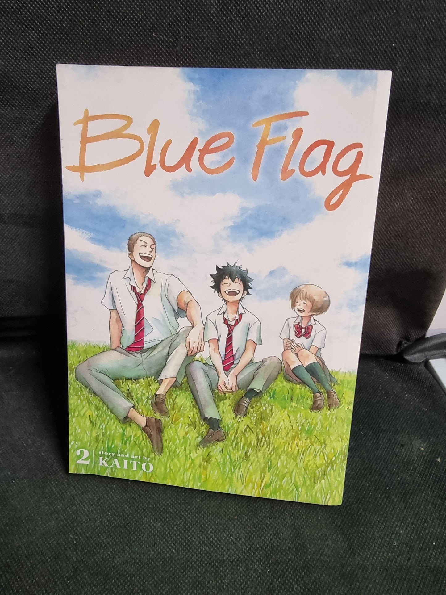 BLUE FLAG VOL 2