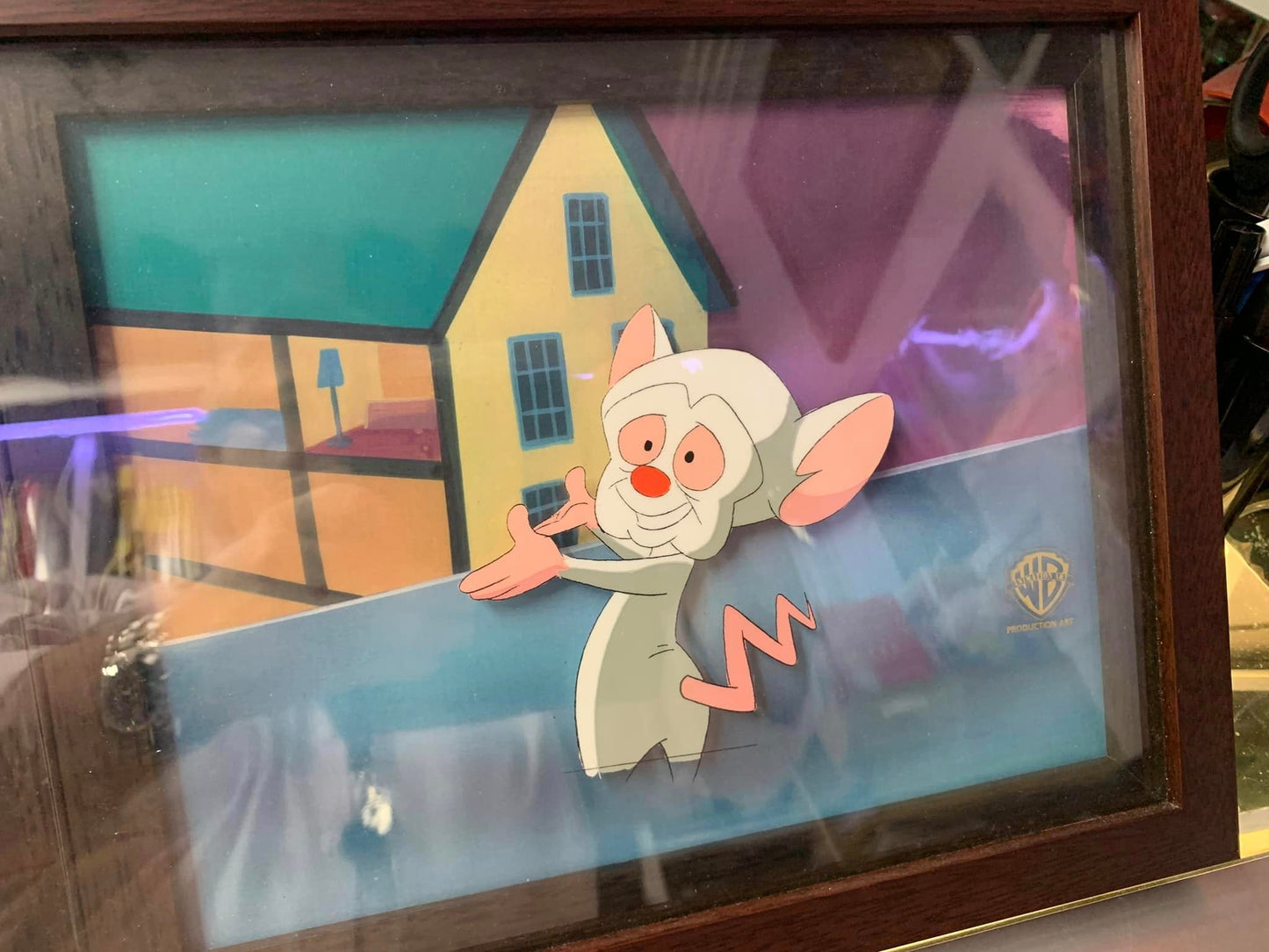 Framed Pinky and The Brain Cartoon Film Cell