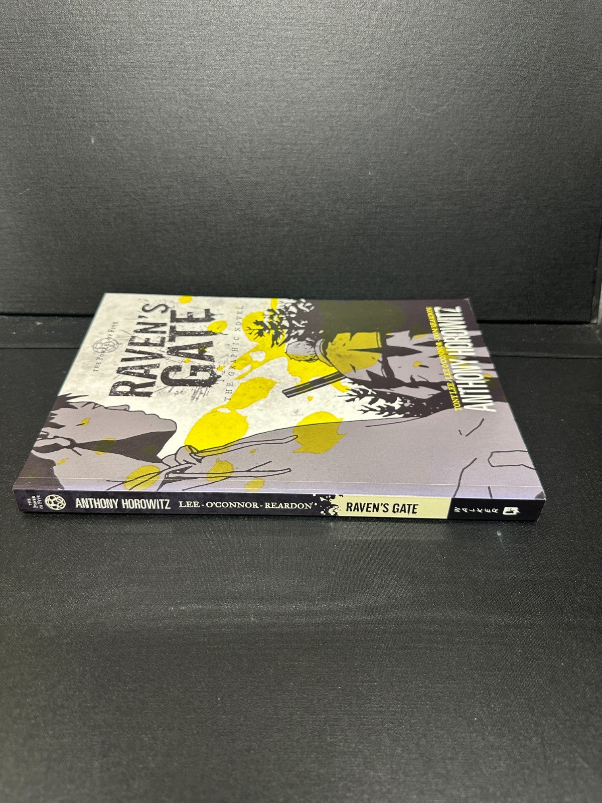 The Power of Five: Raven's Gate-The Graphic Novel (Paperback 2013)