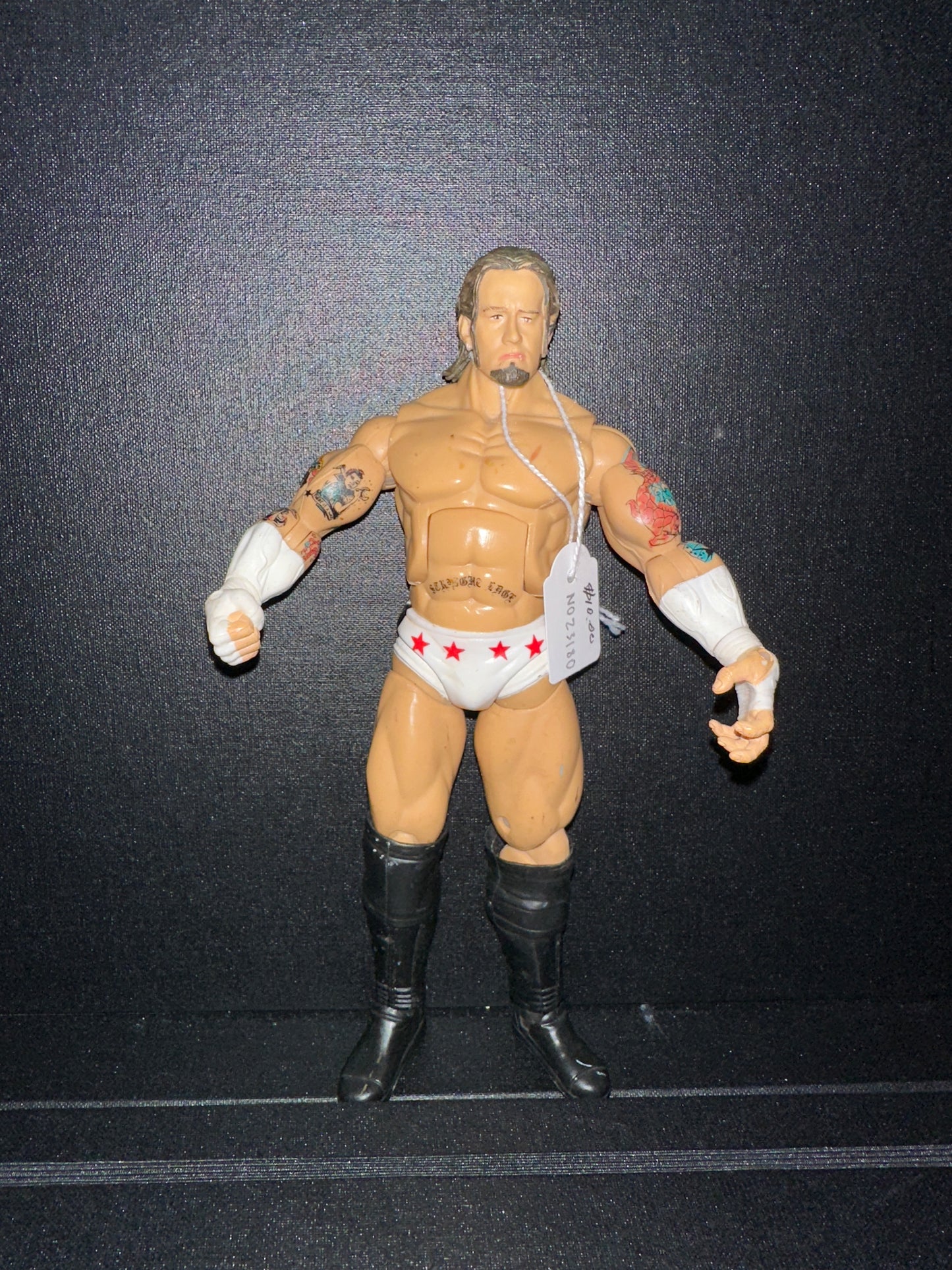 WWE CM Punk Deluxe Aggression 8 Loose Wrestling Action Figure (loose)