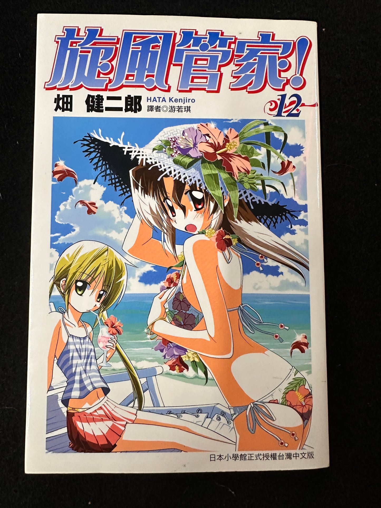 HAYATE THE COMBAT BUTLER VOL 12
