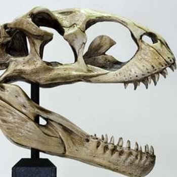 King Kong Venatosaurus Skull Bust (Limited Edition), King Kong Venatosaurus Skull Bust (Limited Edition) By Dark Horse Comics