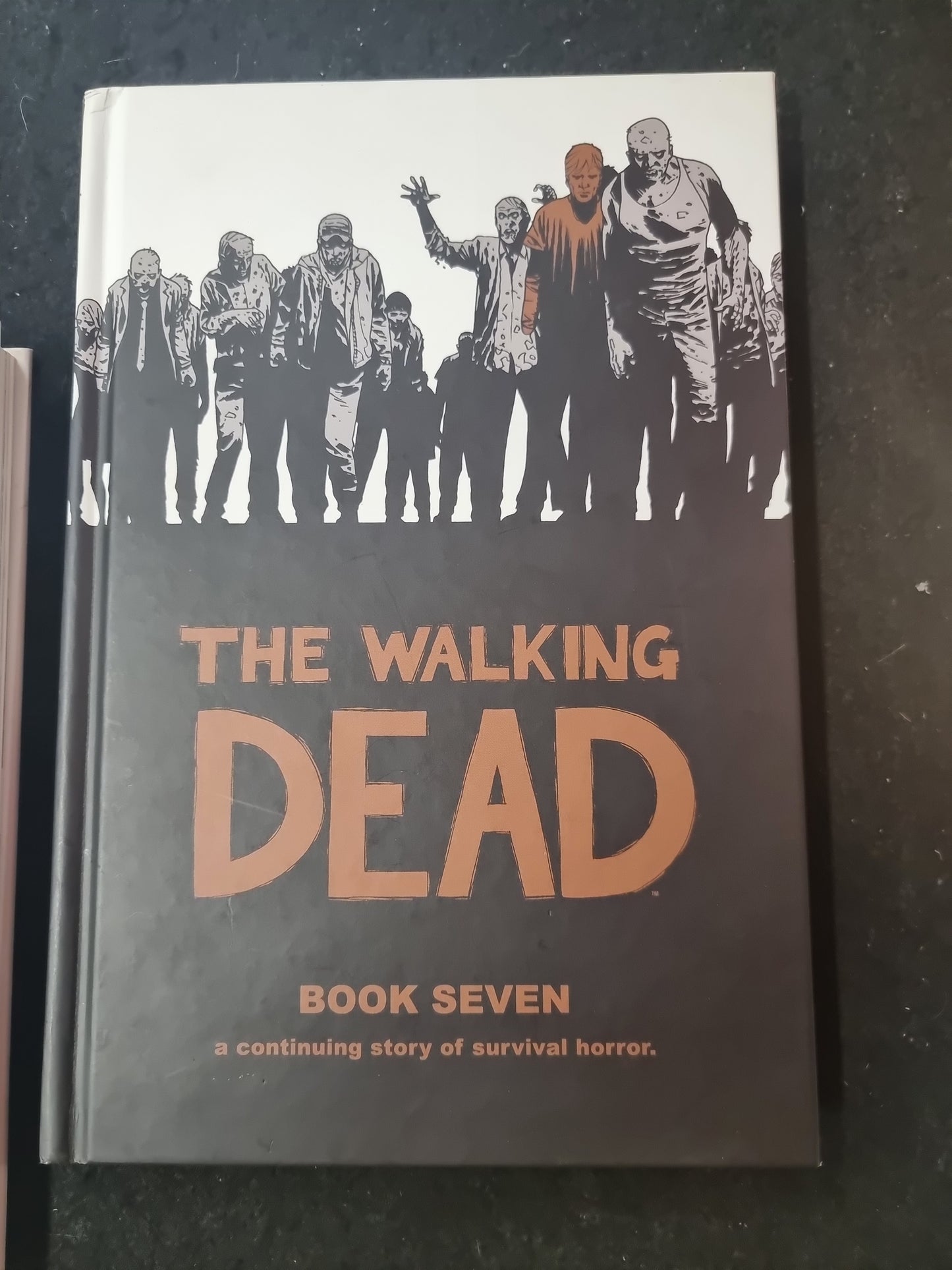 THE WALKING DEAD BOOK SEVEN