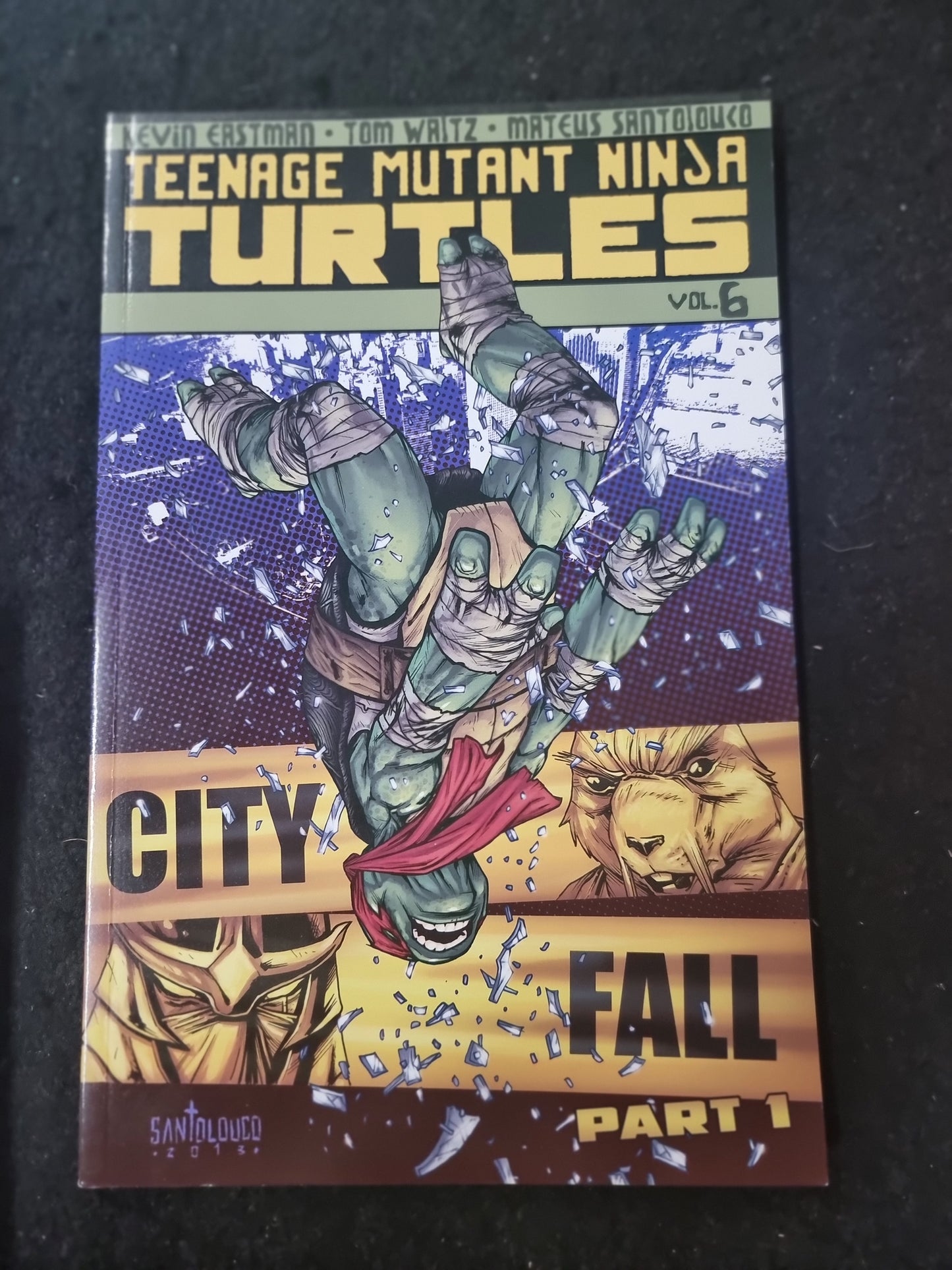 TEENAGE MUTANT NINJA TURTLES CITY FALL PART 1 VOL 6