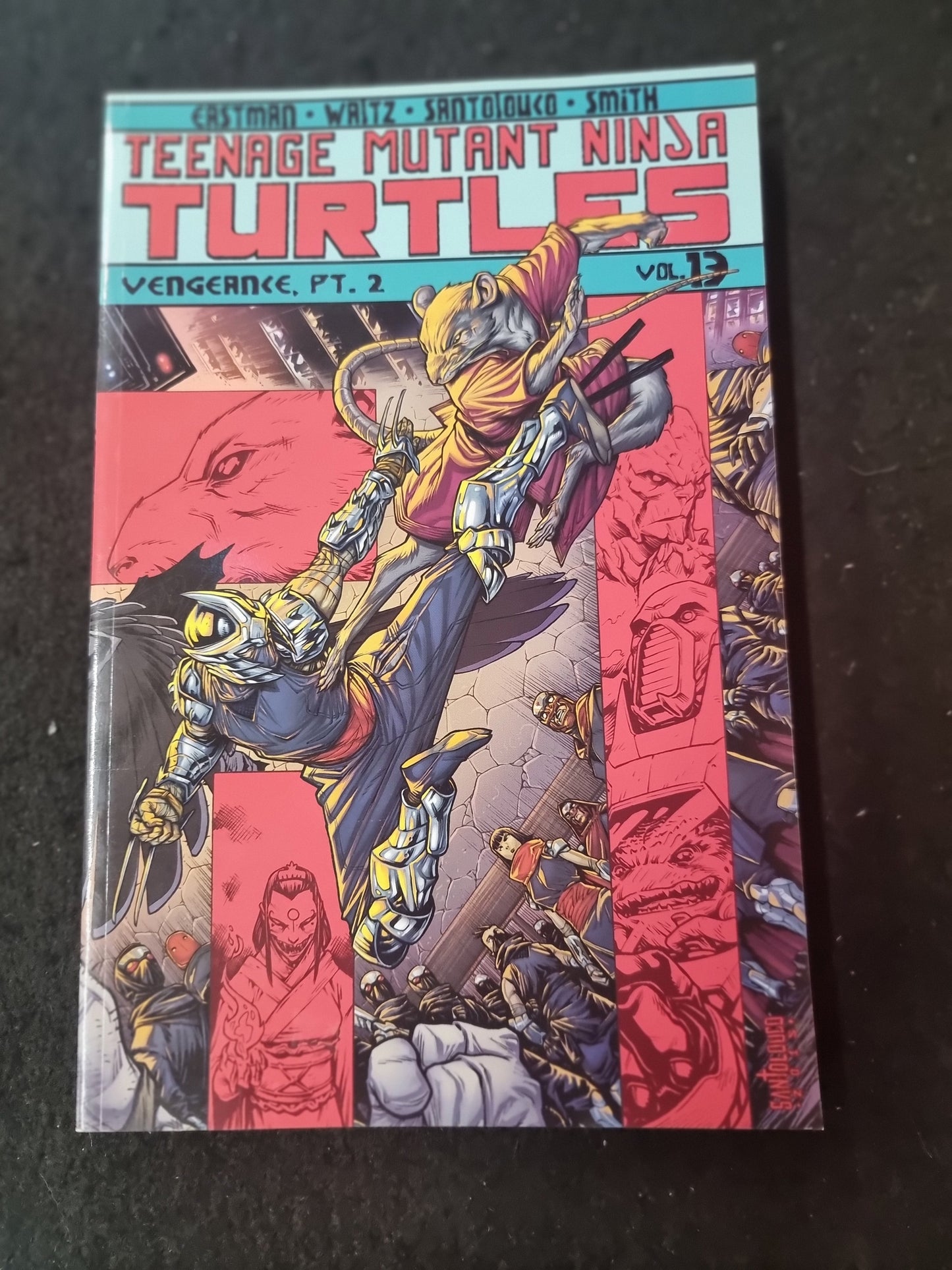 TEENAGE MUTANT NINJA TURTLES VENGEANCE PT.2 VOL 13 Captain Comics and Collectables Pty Ltd