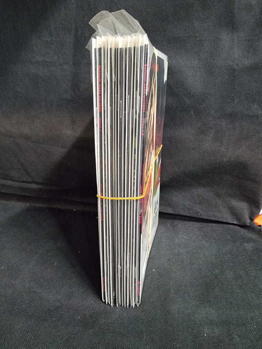 BATMAN DARK VICTORY #1 TO 13