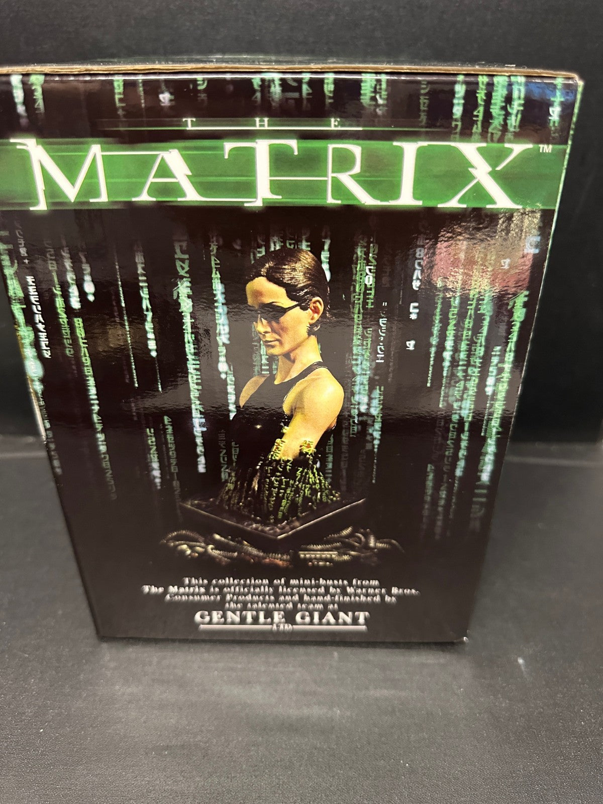 The Matrix  Trinity 1/6 Scale Mini-Bust Statue