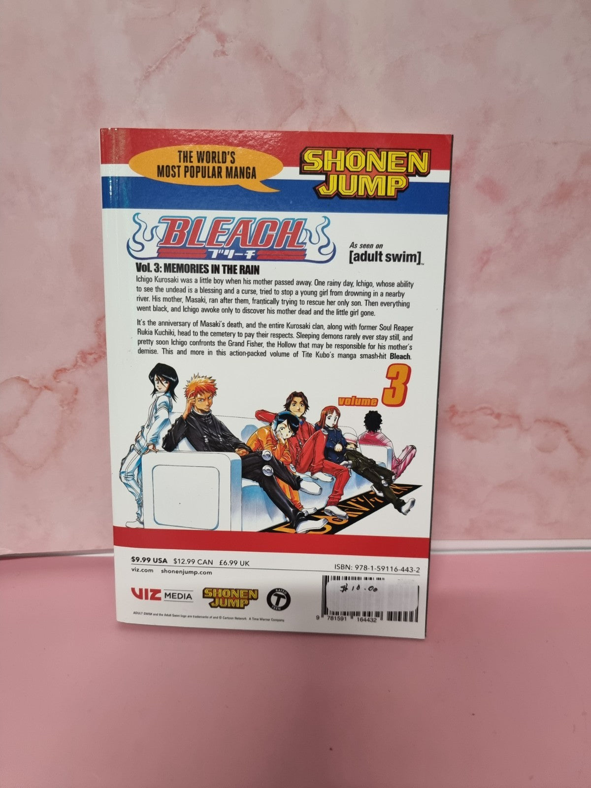 Bleach: Volume 3: Memories in the Rain, Tite Kubo