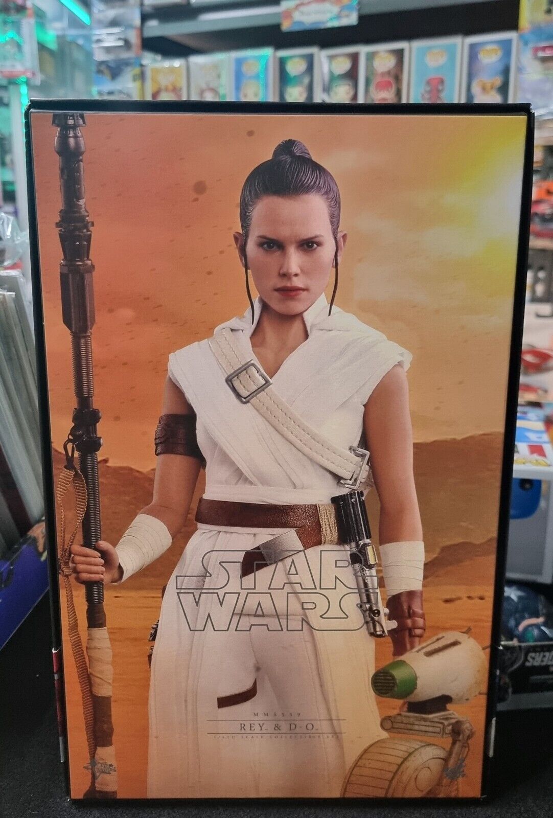 Hot Toys Star Wars: The Rise of Skywalker - Rey and D-O 1/6th Scale Collectible