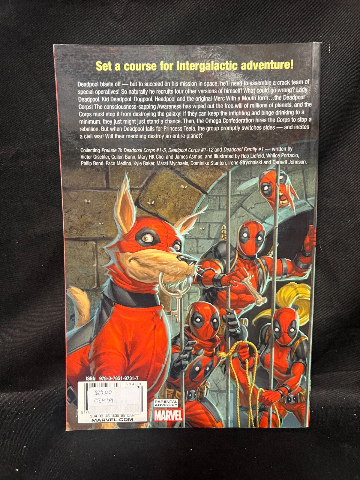 Deadpool Classic 12: Deadpool Corps Marvel Comics, Graphic Novel VG