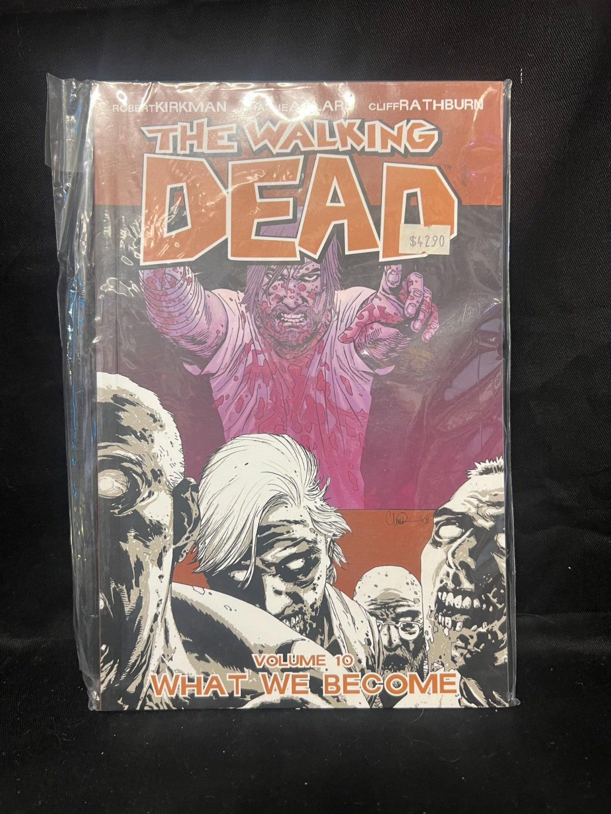 Walking Dead Volume 10: What We Become by Kirkman, Robert