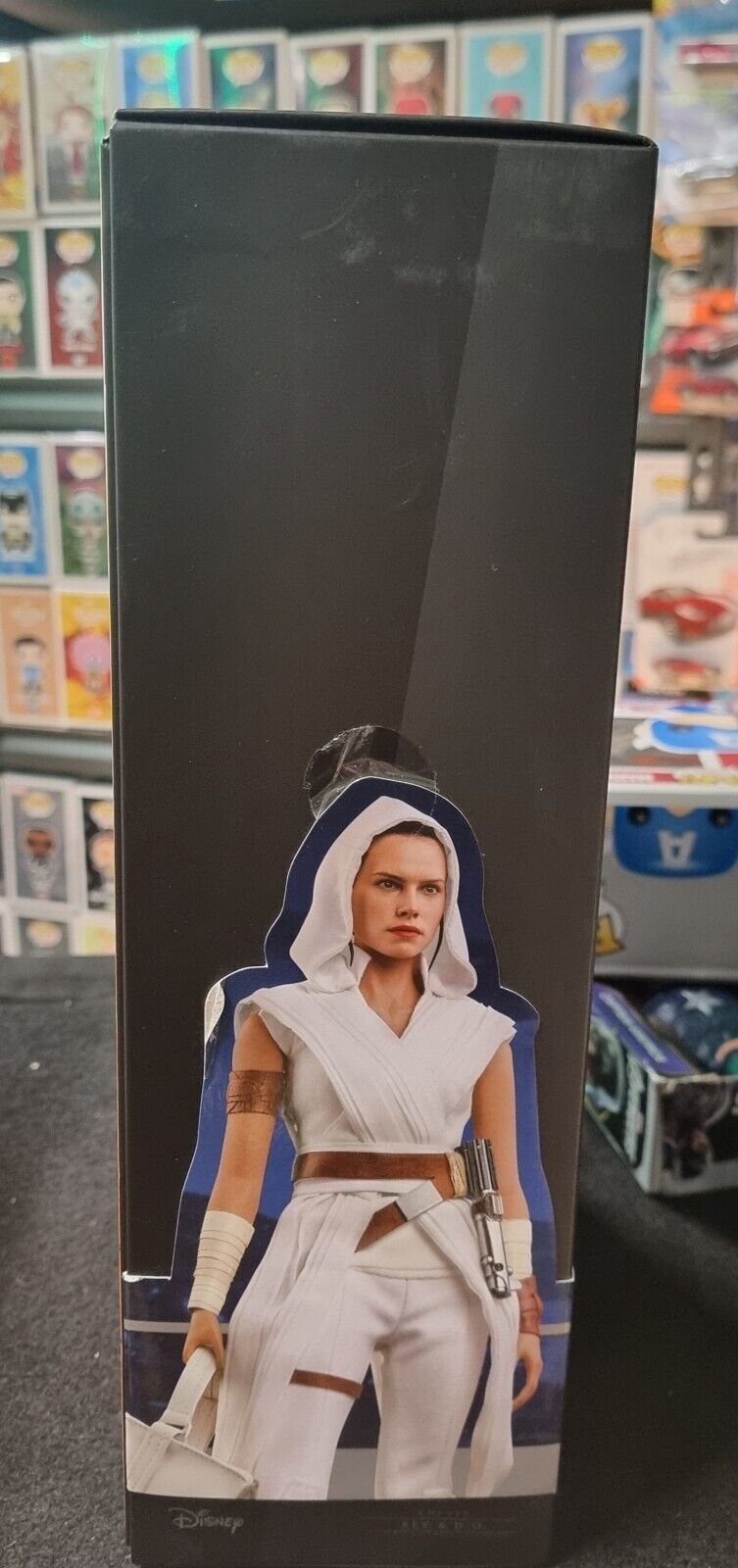Hot Toys Star Wars: The Rise of Skywalker - Rey and D-O 1/6th Scale Collectible