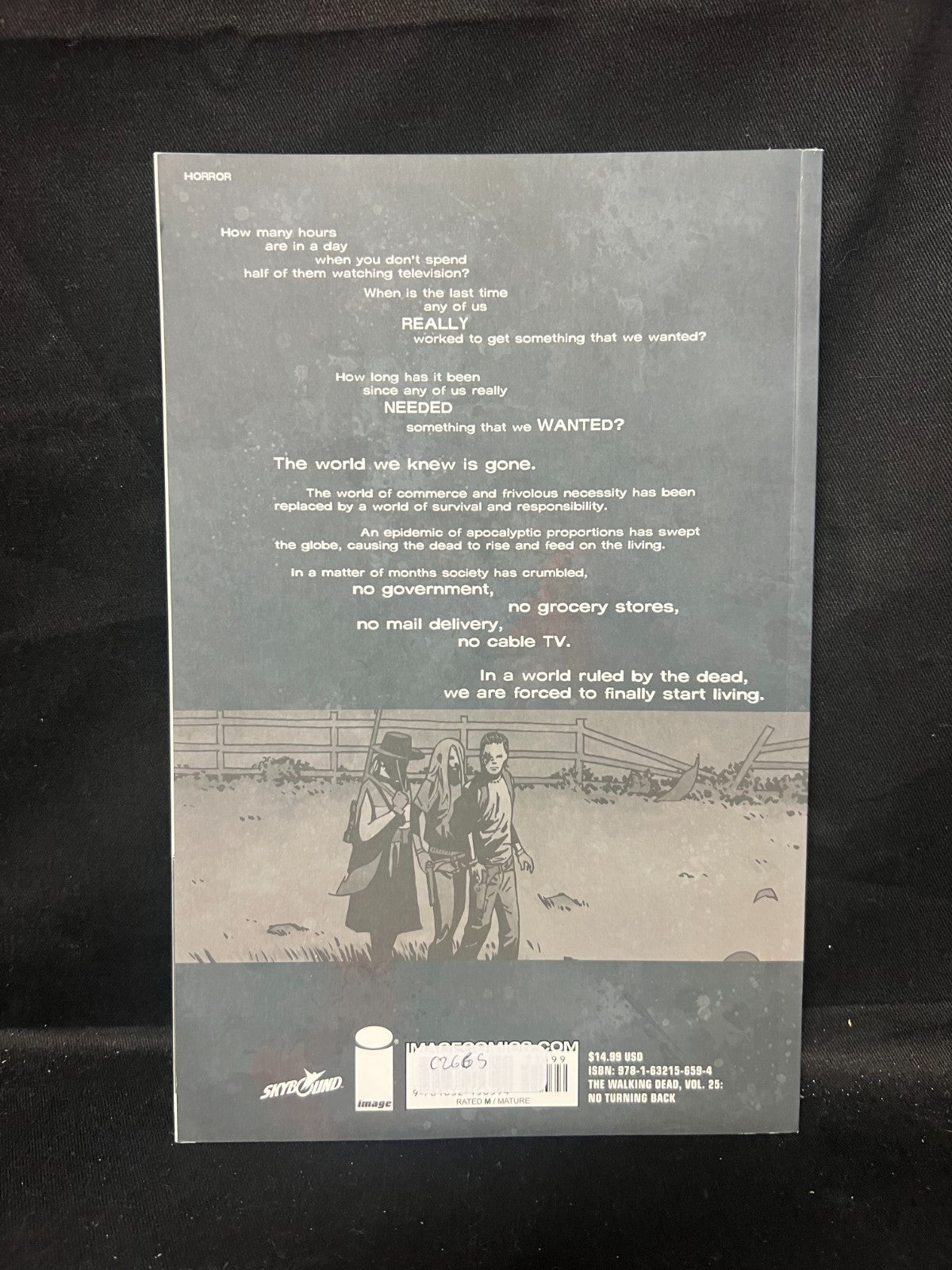 Robert Kirkman The Walking Dead Volume 25: No Turning Back (Paperback)