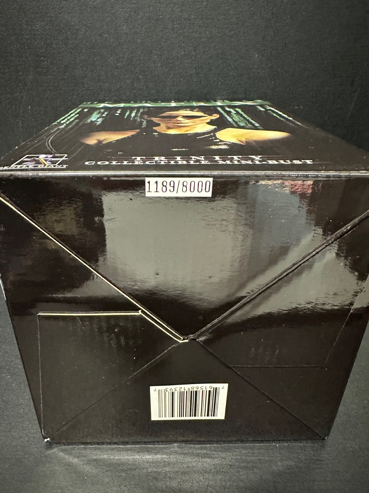 The Matrix  Trinity 1/6 Scale Mini-Bust Statue
