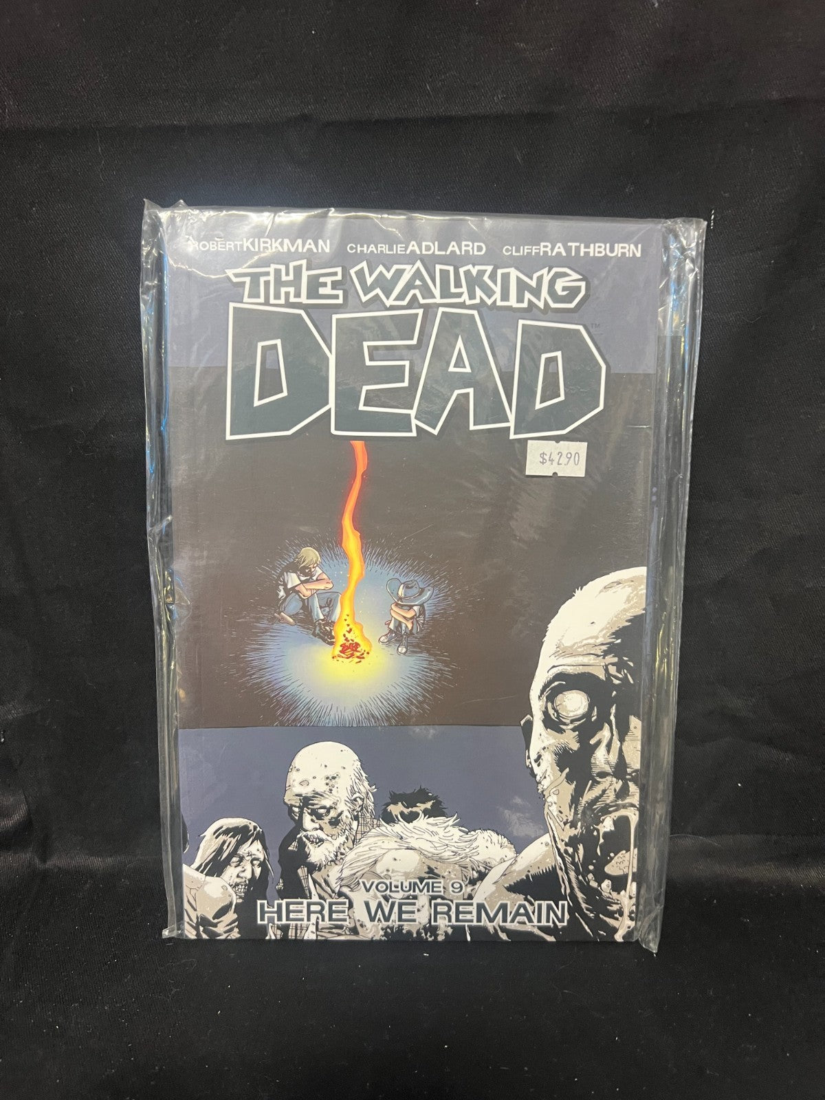 The Walking Dead Volume 9: Here We Remain: 09 (WALKING... - Kirkman, Robert