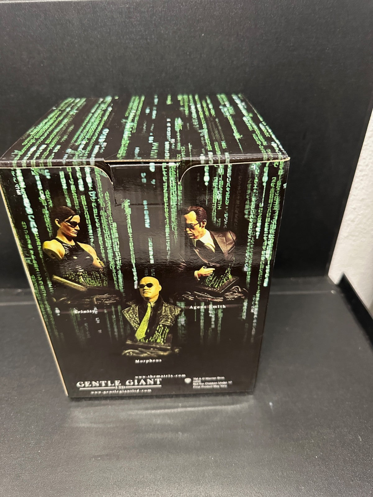 The Matrix Neo 1/6 Scale Mini-Bust Statue