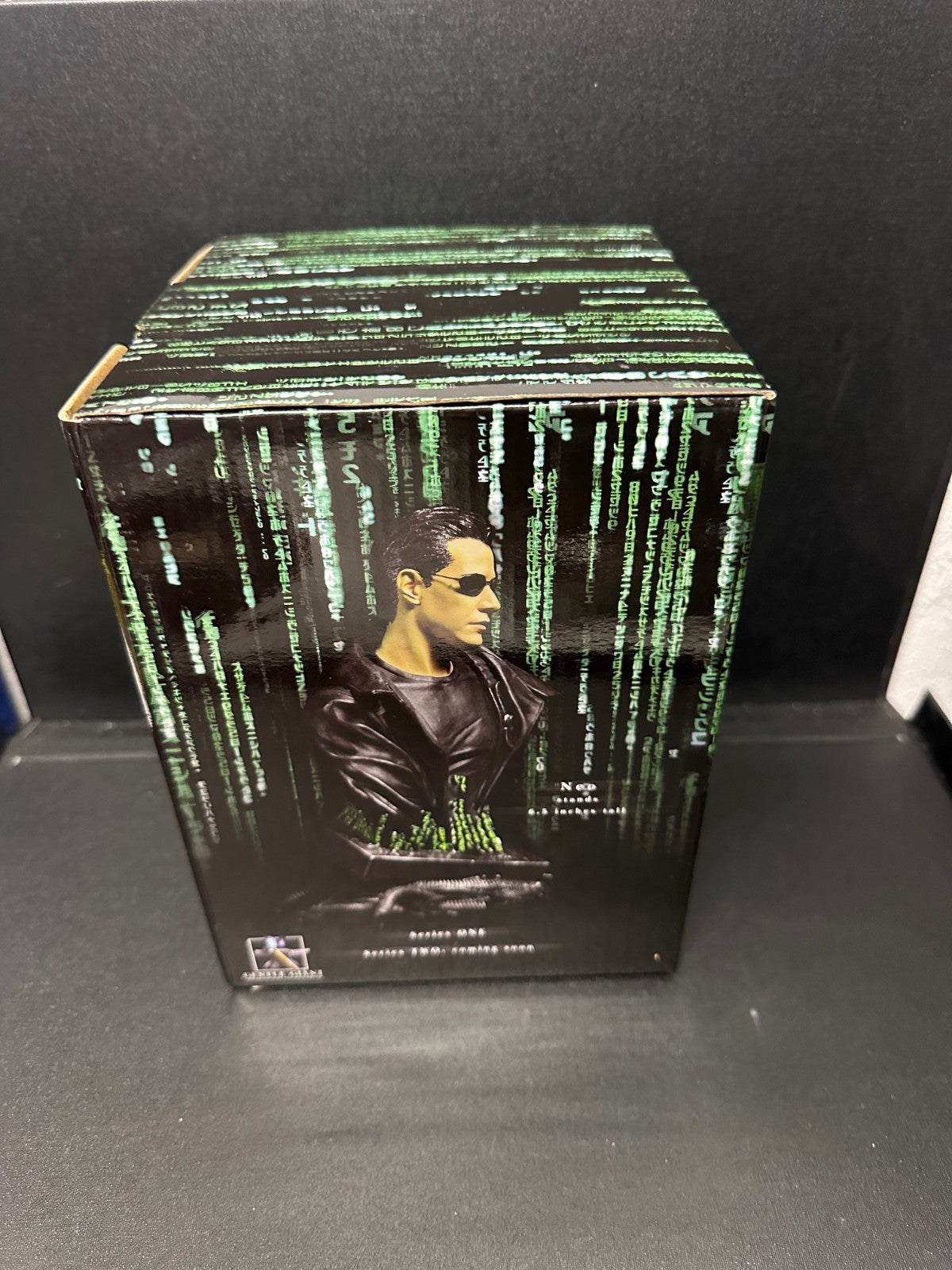 The Matrix Neo 1/6 Scale Mini-Bust Statue