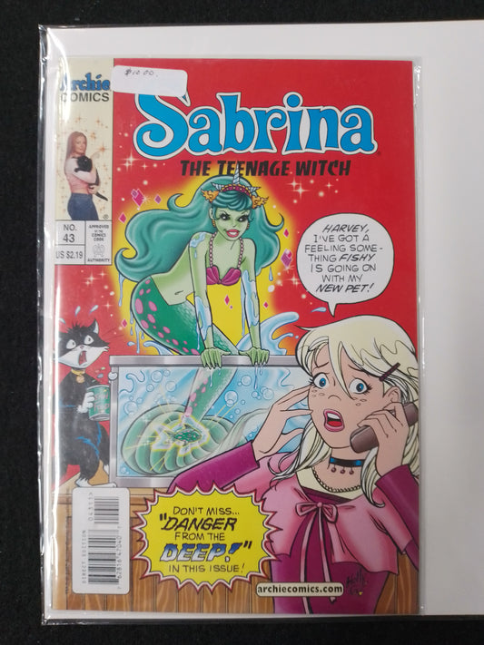 Sabrina The Teenage Witch No 43 - Archie Comic Book - N07893