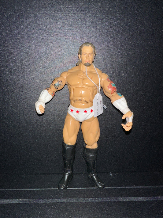 WWE CM Punk Deluxe Aggression 8 Loose Wrestling Action Figure (loose)