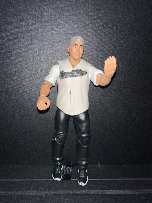 WWE Shane McMahon Elite Collection Wrestling Action Figure (loose)