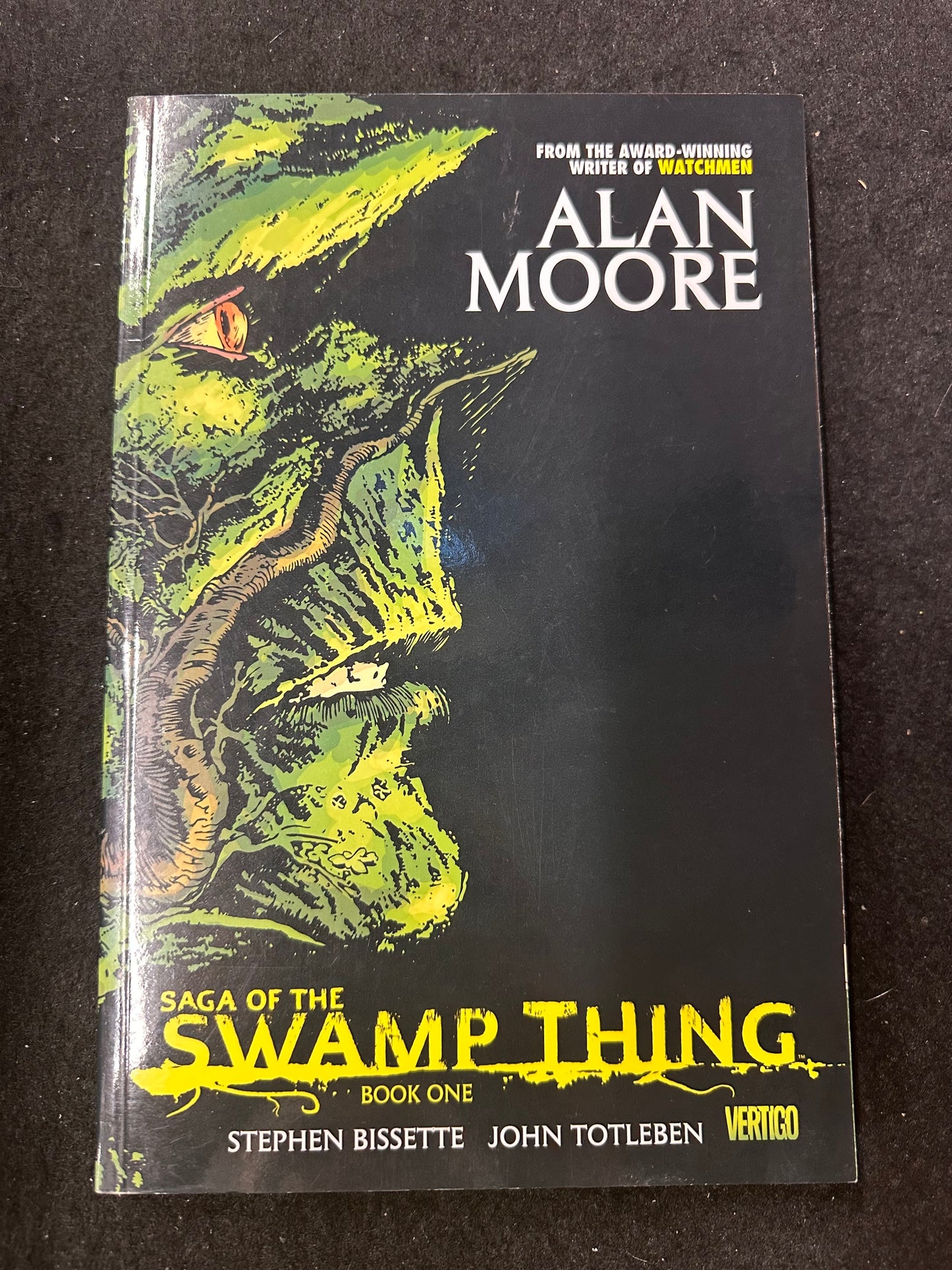 SAGA OF THE SWAP THING