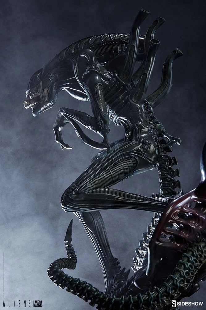 Sideshow Collectibles - Aliens - Alien Warrior Statue 603/1000 Limited - N08969