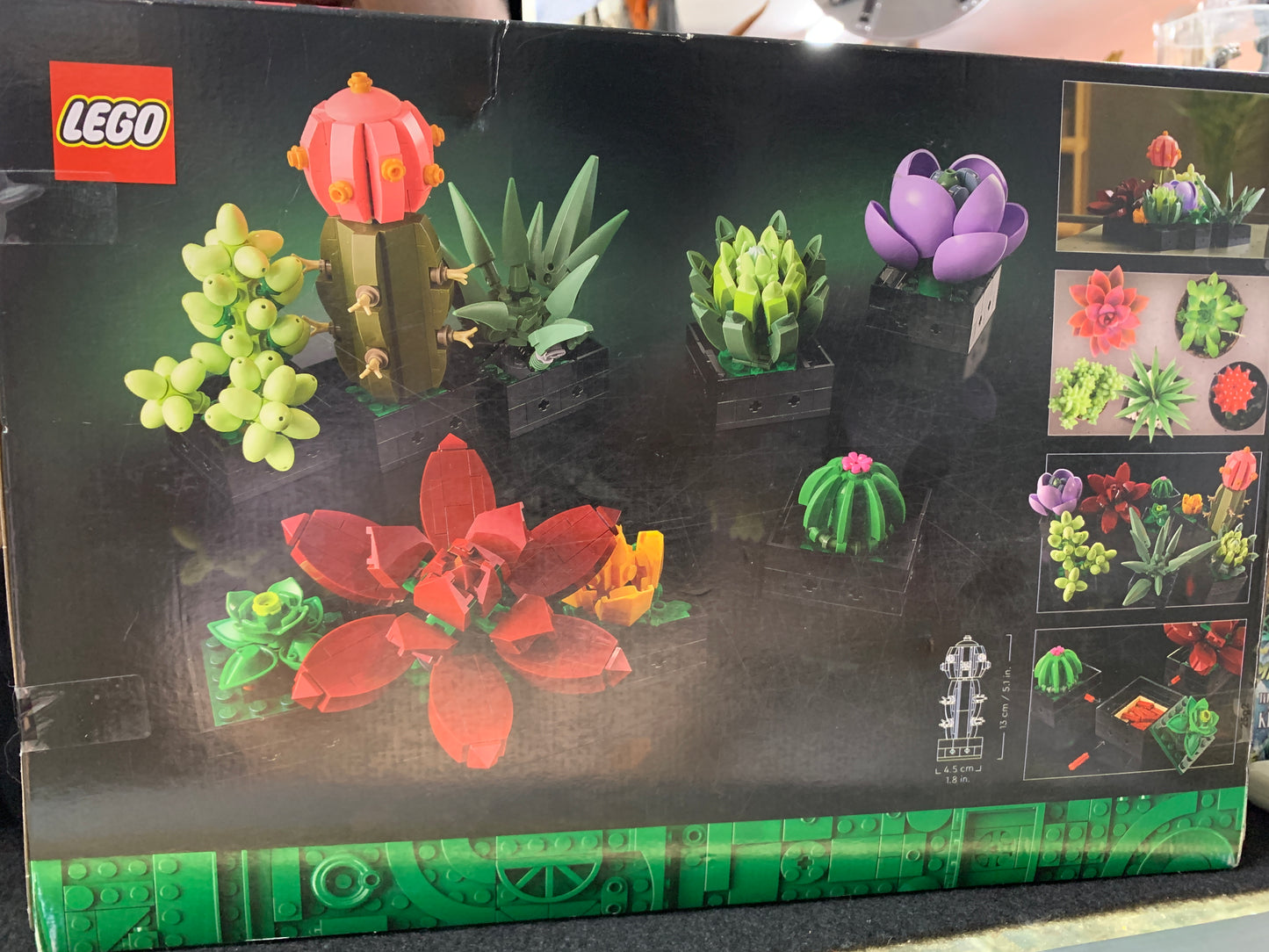LEGO botanical garden succulents slight box damage